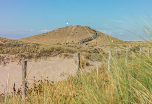 omgeving-callantsoog-duinen.jpg